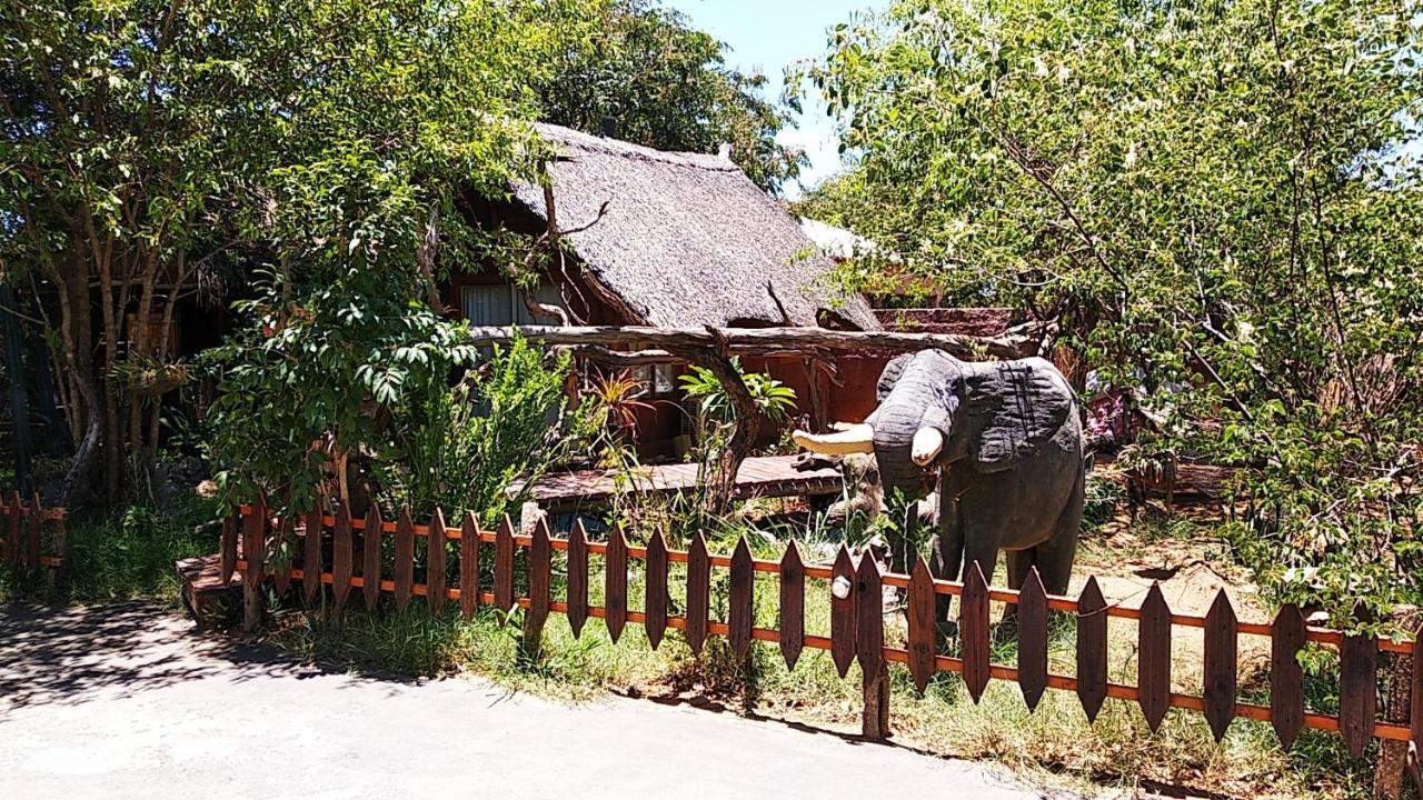 Elephant Trail Guesthouse And Backpackers Kasane Eksteriør billede